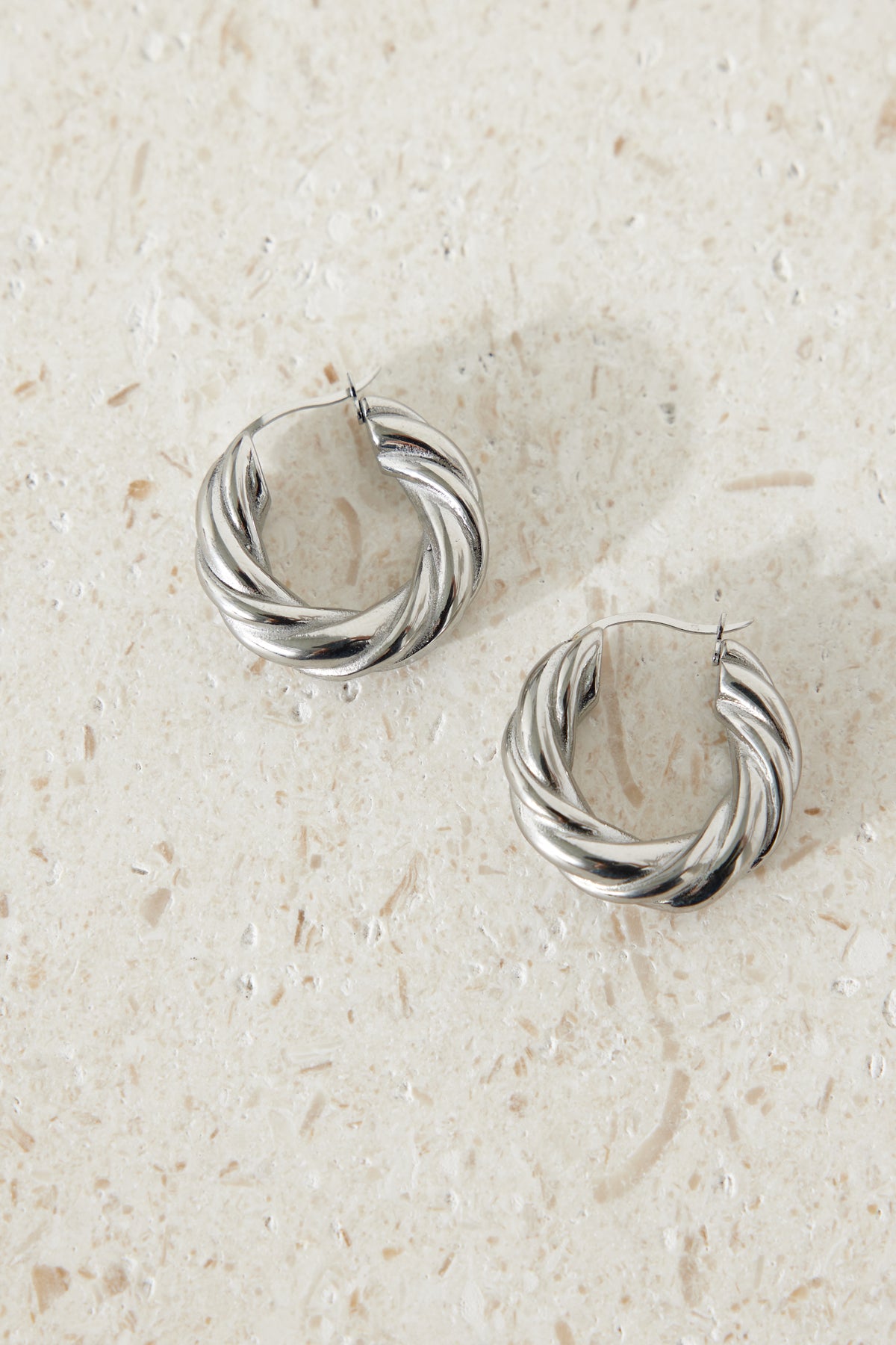 Buried Treasure Earrings Silver