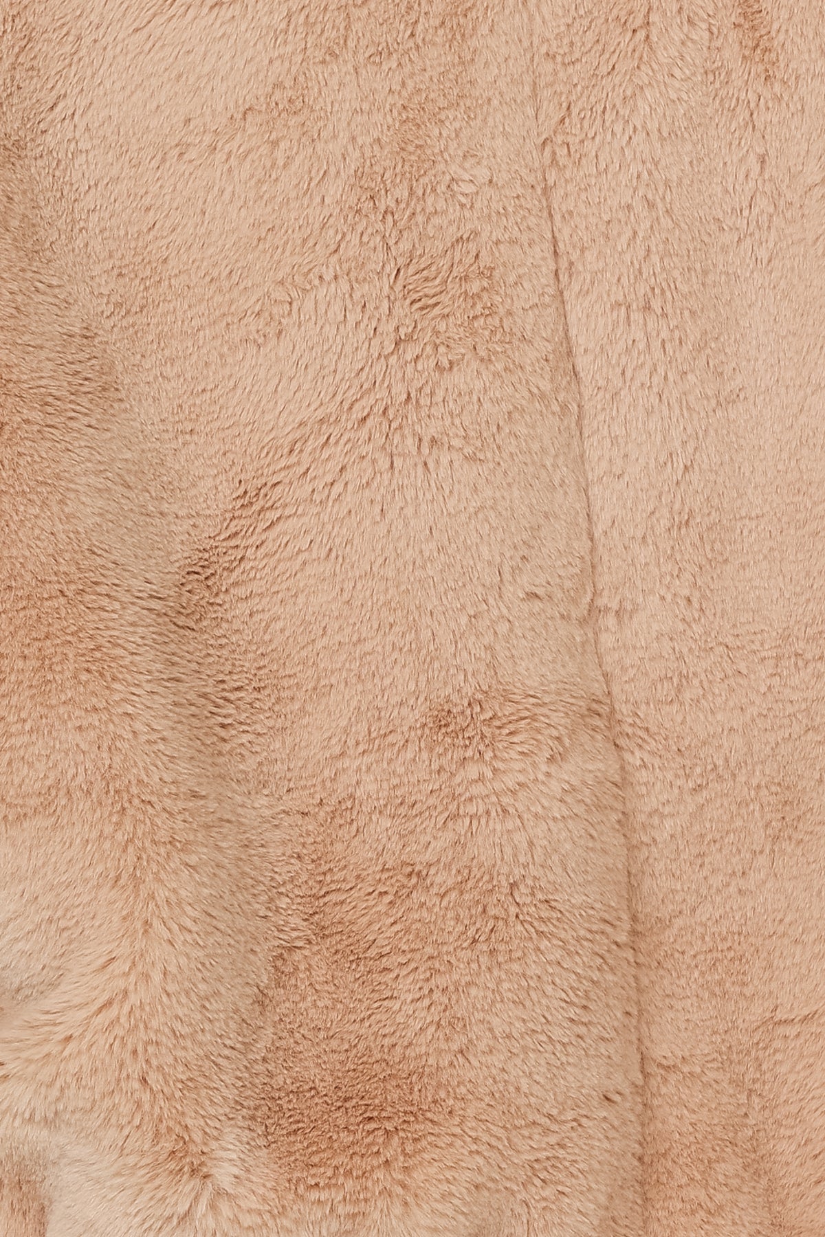 Special Treat Jacket Camel