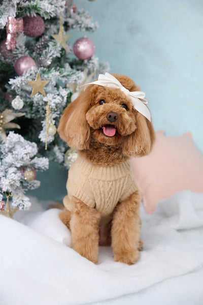 Trendsetter Poppy Dog Knit Sweater Toffee