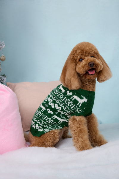 Reindeer Paws Dog Knit Sweater Green