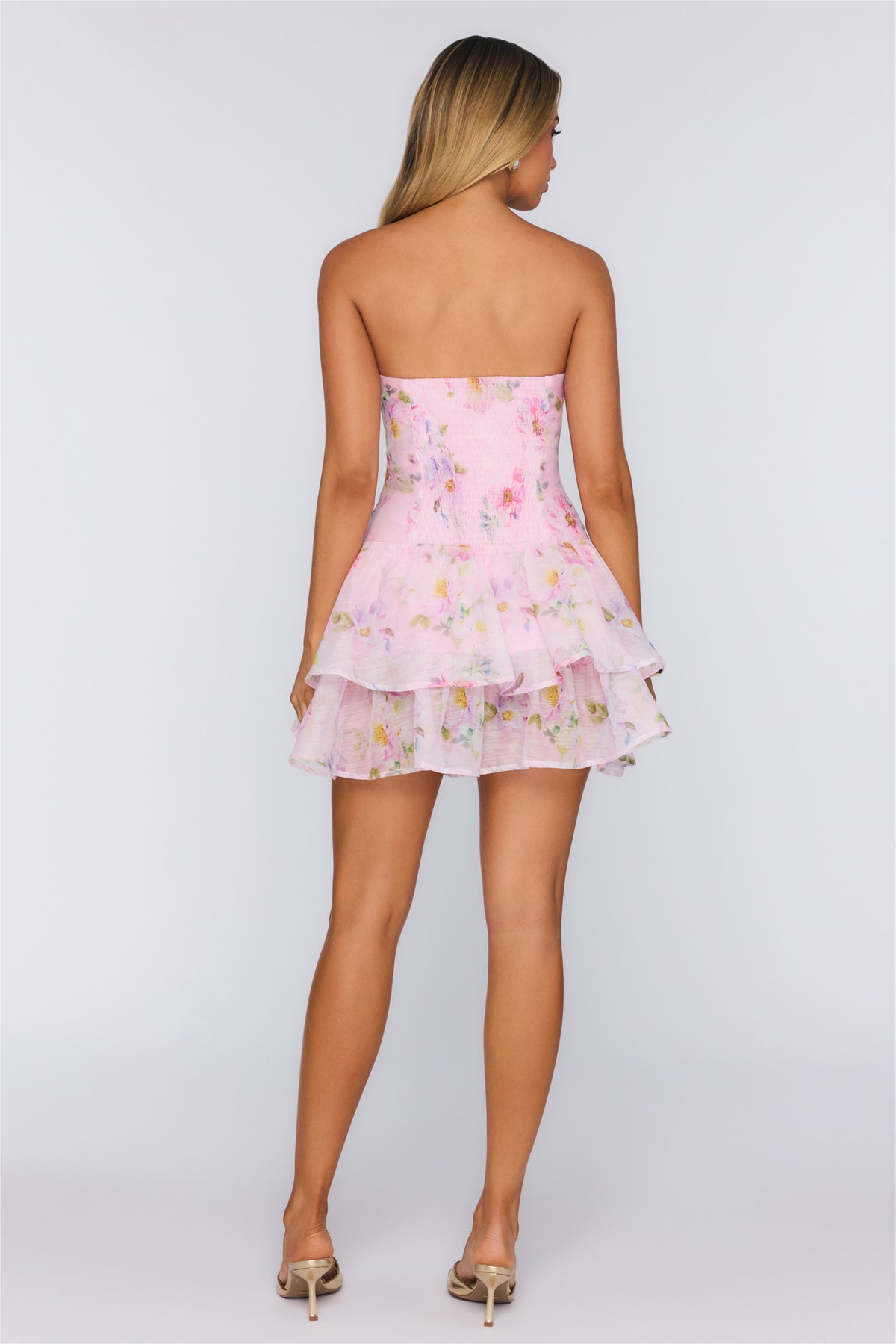 #586600