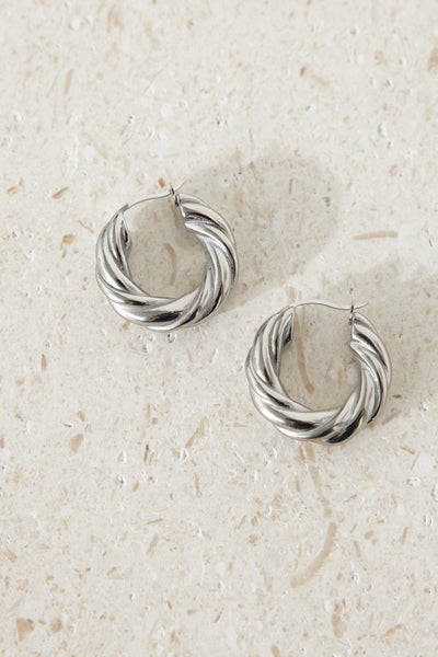 Buried Treasure Earrings Silver