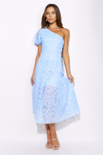 In Full Bloom Mesh Midi Dress Blue